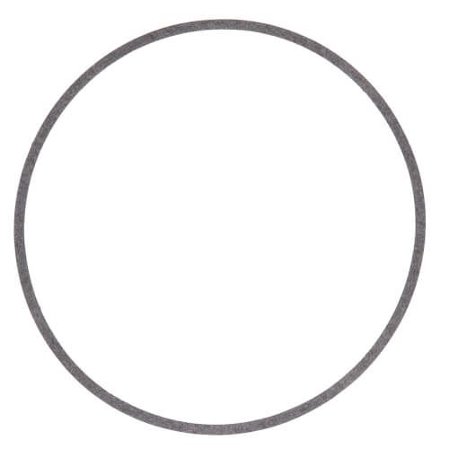Armstrong Pumps 106158-000 - Body Gasket