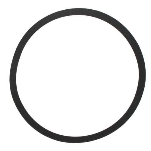 Armstrong Pumps 106592-000 - Body Gasket for S69-BF1 Pump