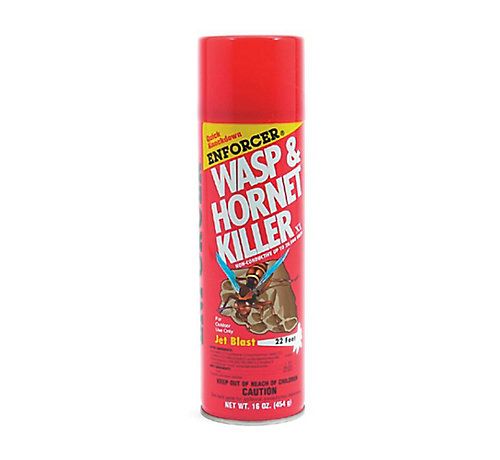 Lennox 19P45 - Wasp and Hornet Killer, 16 oz. Aerosol