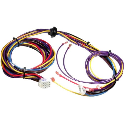 Rheem 45-42522-23 - Wiring Harness