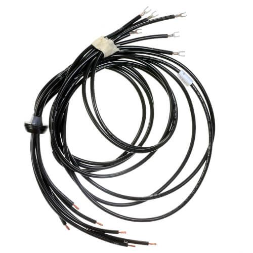 Rheem 45-42522-61 - Wiring Harness