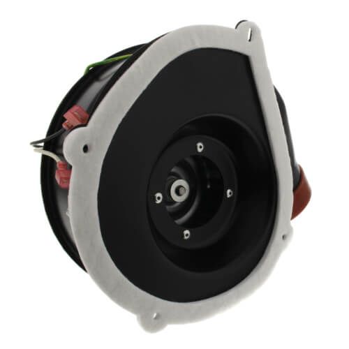 Packard 66781 - Draft Inducer, Rheem Replacement (115 V)