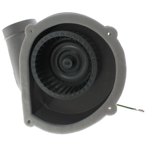 Packard 66847 - 1 Speed Direct Replacement Draft Inducer for Rheem, 1/30 HP, 3000 RPM (120V)