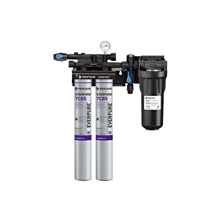 Nu-Calgon 9797-22 - Kleensteam II Twin Eash