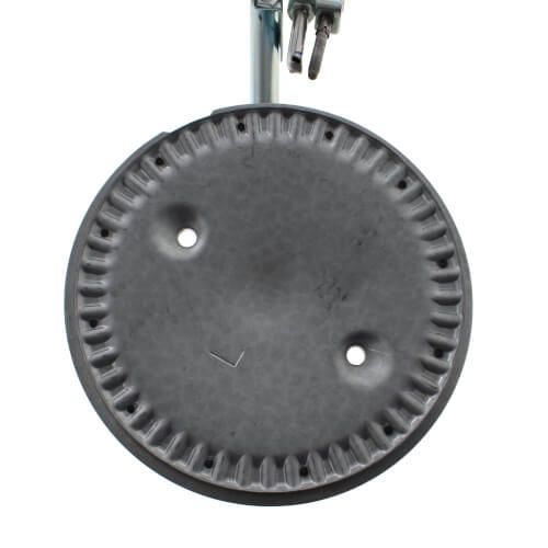 Rheem AM35050DT - Burner/Pilot Assembly (NG)