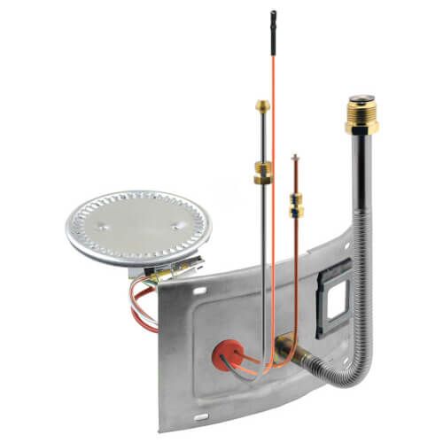 Rheem AM42251 - Burner Assembly Door - 42V65-65 - NG