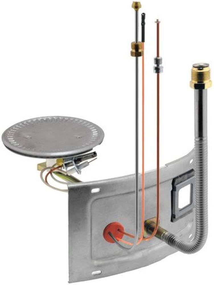 Rheem AS36336DBC-7 - Burner Assembly