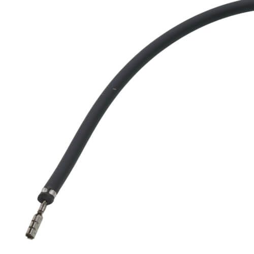 Rheem RTG20164U - Ignitor Coil